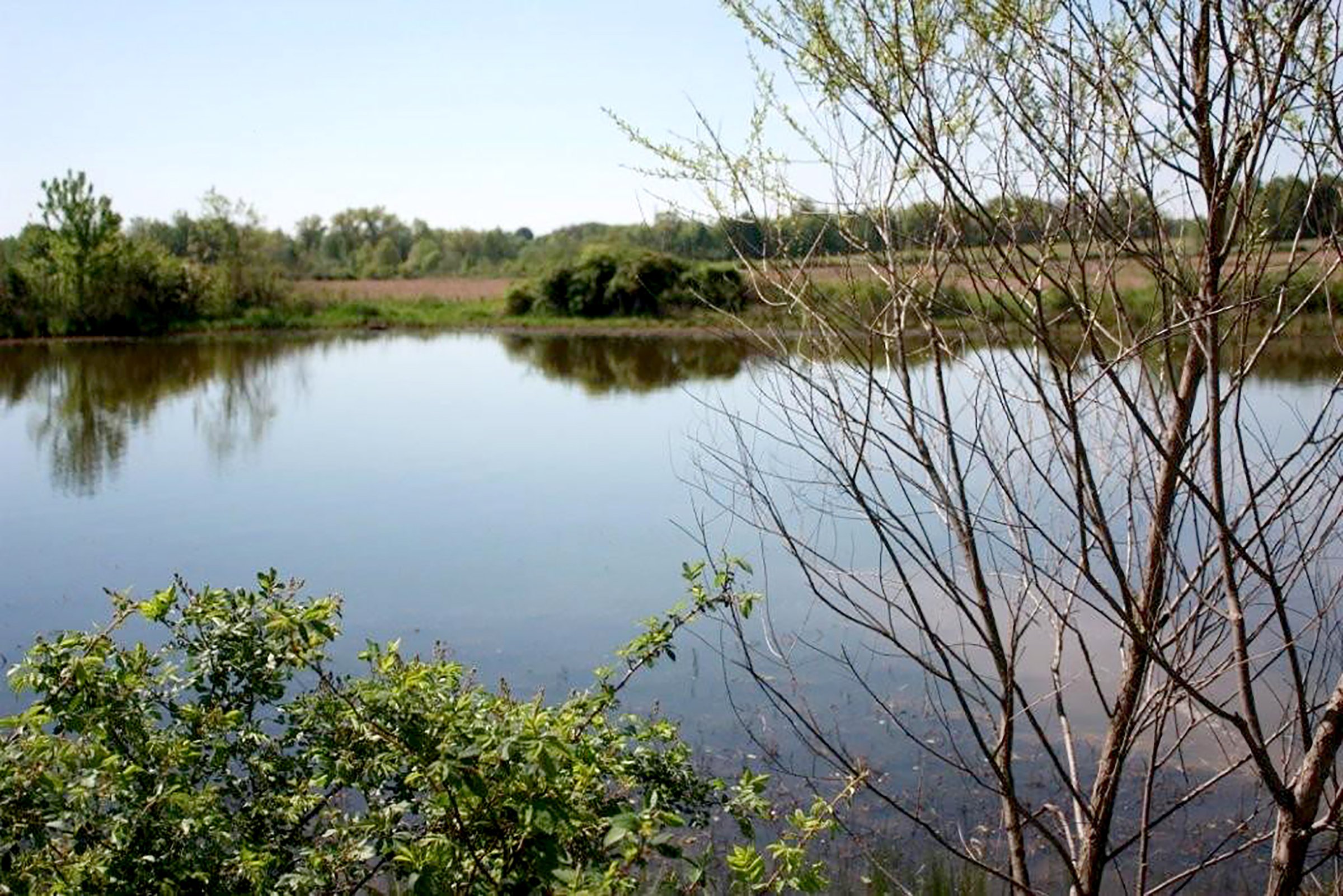 Property photo 9 - REAL ESTATE AUCTION - 126+/- ACRES OFFERED IN 4 TRACTS IN GREENE COUNTY, INDIANA